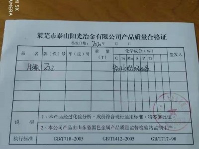 山東陽(yáng)光Z22圖5