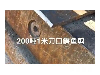 200噸1米刀囗鱷魚(yú)剪，1萬(wàn)多塊錢(qián)圖5