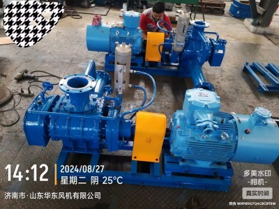 羅茨鼓風(fēng)機(jī)圖3