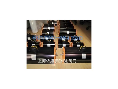 保證原裝正品德國EBRO支耳式蝶閥Z014-A圖2