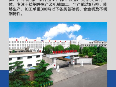 非標(biāo)來圖定制鉸鏈鉸座 新騰飛鑄鋼 可無損探傷 單重1噸起做圖4