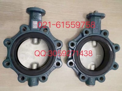 現(xiàn)貨供應(yīng)德國依博羅蝶閥Z011-A DN350規(guī)格齊全速發(fā)貨圖2
