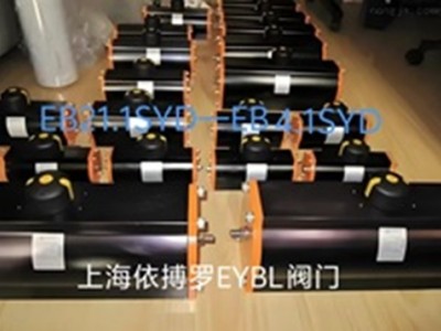 現(xiàn)貨供應(yīng)德國依博羅蝶閥Z011-A DN350規(guī)格齊全速發(fā)貨圖4