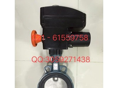 原裝正品德國依博羅角行程電動執(zhí)行器 E50-E210圖3