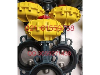 原裝正品德國依博羅角行程電動執(zhí)行器 E50-E210圖4