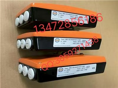 保證原裝正品Z011-A依博羅EBRO氣動蝶閥規(guī)格齊全圖4