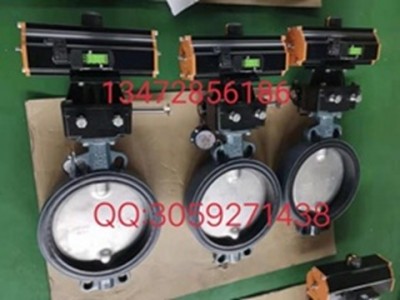 原裝進口德國依博羅Z011-A型氣動蝶閥規(guī)格齊全速發(fā)貨圖2