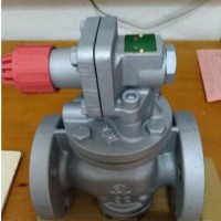 日本VENN閥天蒸汽減壓閥RP-6總代直供 上海