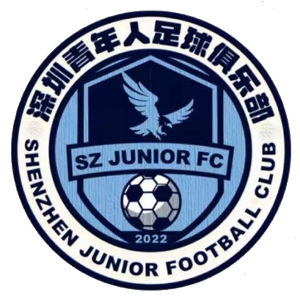 深圳青年人 vs 廣西恒宸