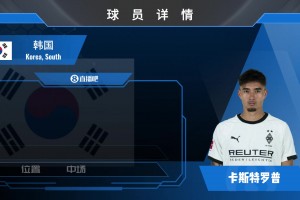 韓國歸化卡斯特羅普集錦：可帶刀！覆蓋范圍極大的全能B2B中場