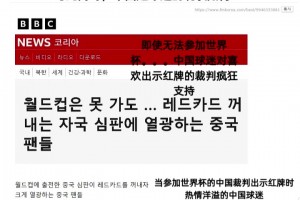 韓國球迷嘲諷：與此同時，中國足球迷的現(xiàn)狀如何？
