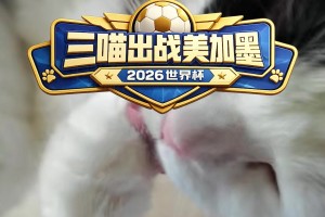 比章魚保羅還準(zhǔn)？詹俊老師的貓咪小籠包在線預(yù)測(cè)，三喵出戰(zhàn)！
